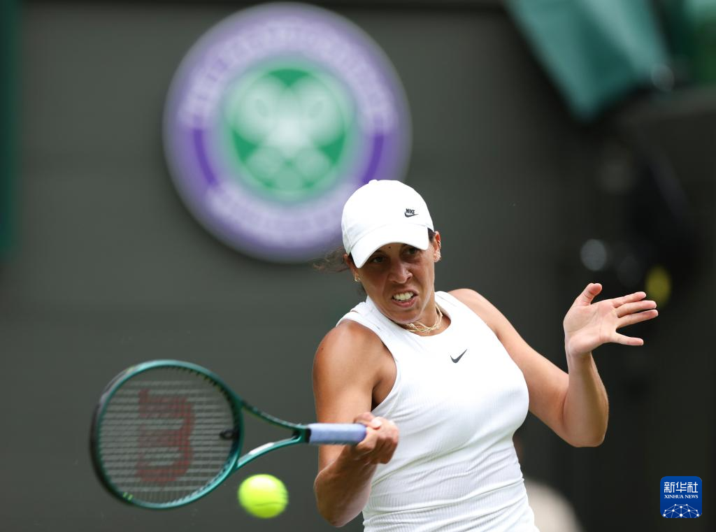 象看本质 象看本质